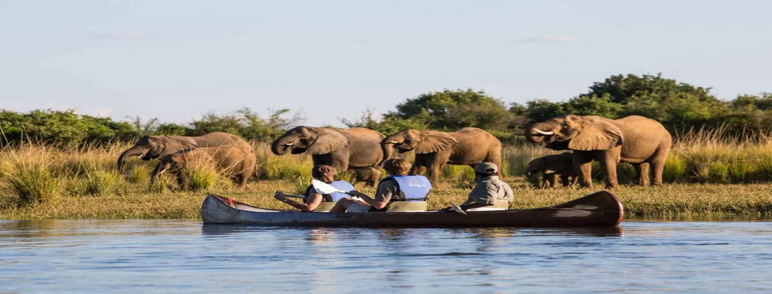 Image for River Safari